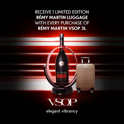 Remy Martin V.S.O.P (3L)
